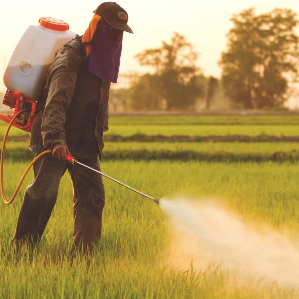 Dia do Controle da Poluição por Agrotóxicos